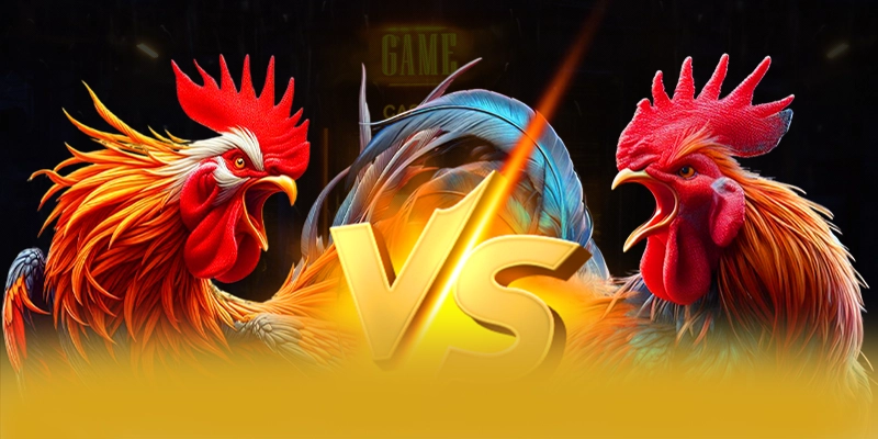Phản hồi từ game thủ về 8XBET Phản hồi từ game thủ về 8XBET