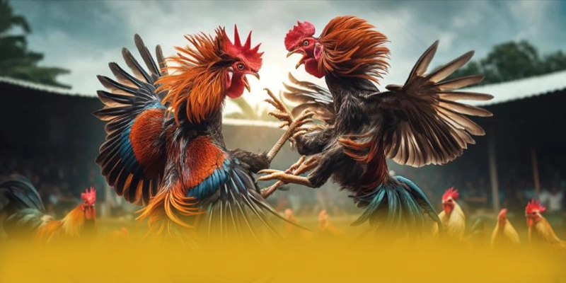 Cùng trải nghiệm 8XBET - Sân chơi được tin dùng hiện nay