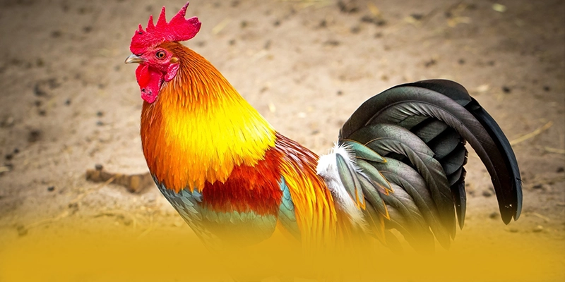Quy trình thanh toán tiện lợi tại 8XBET Quy trình thanh toán tiện lợi tại 8XBET